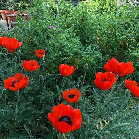 Prázdninový dům Haus Alwine