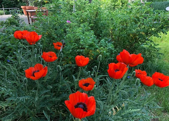 Сasa de vacaciones Haus Alwine